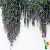 Tranh dán tường Hàn Quốc 3d khổ lớn tại Hà Nội NA - 021